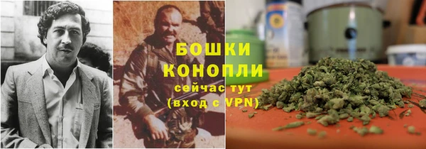 альфа пвп Дмитровск