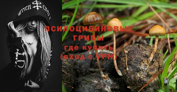 прущая мука Дмитров