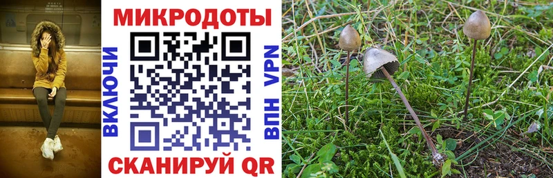 Купить закладки  Богучар  Псилоцибиновые грибы прущие грибы 